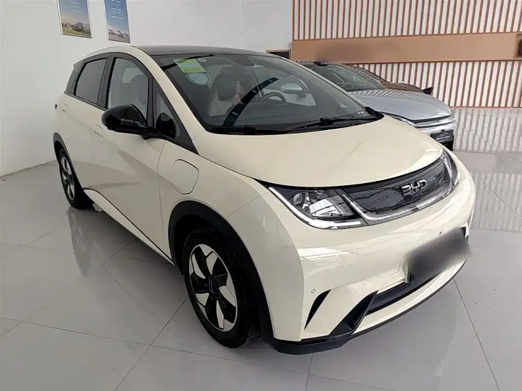 BYD Dolphin 2024 из CN, фото 3