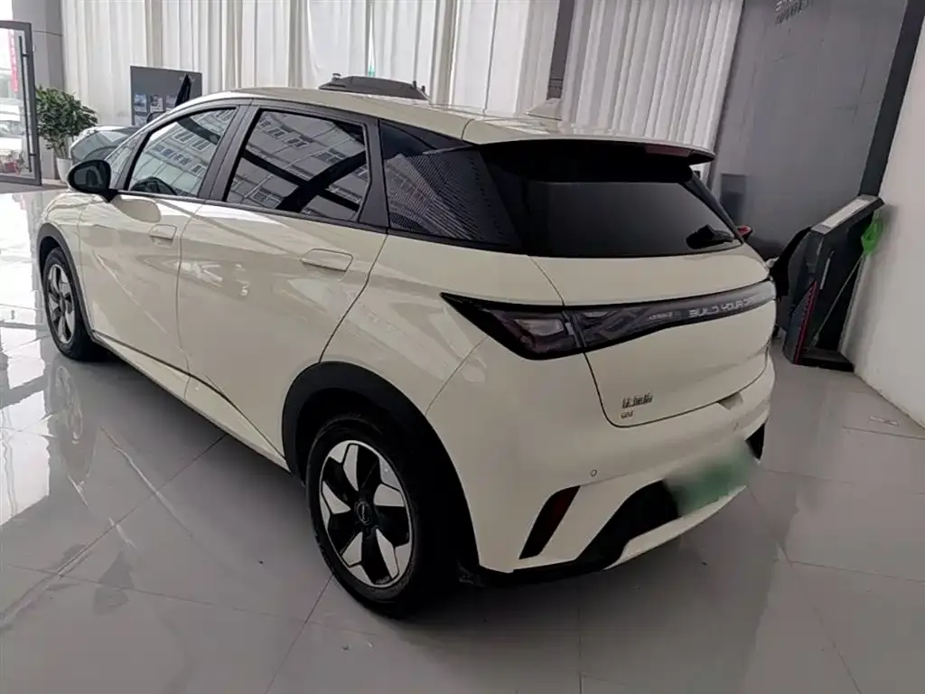 BYD Dolphin 2024 из CN, фото 2