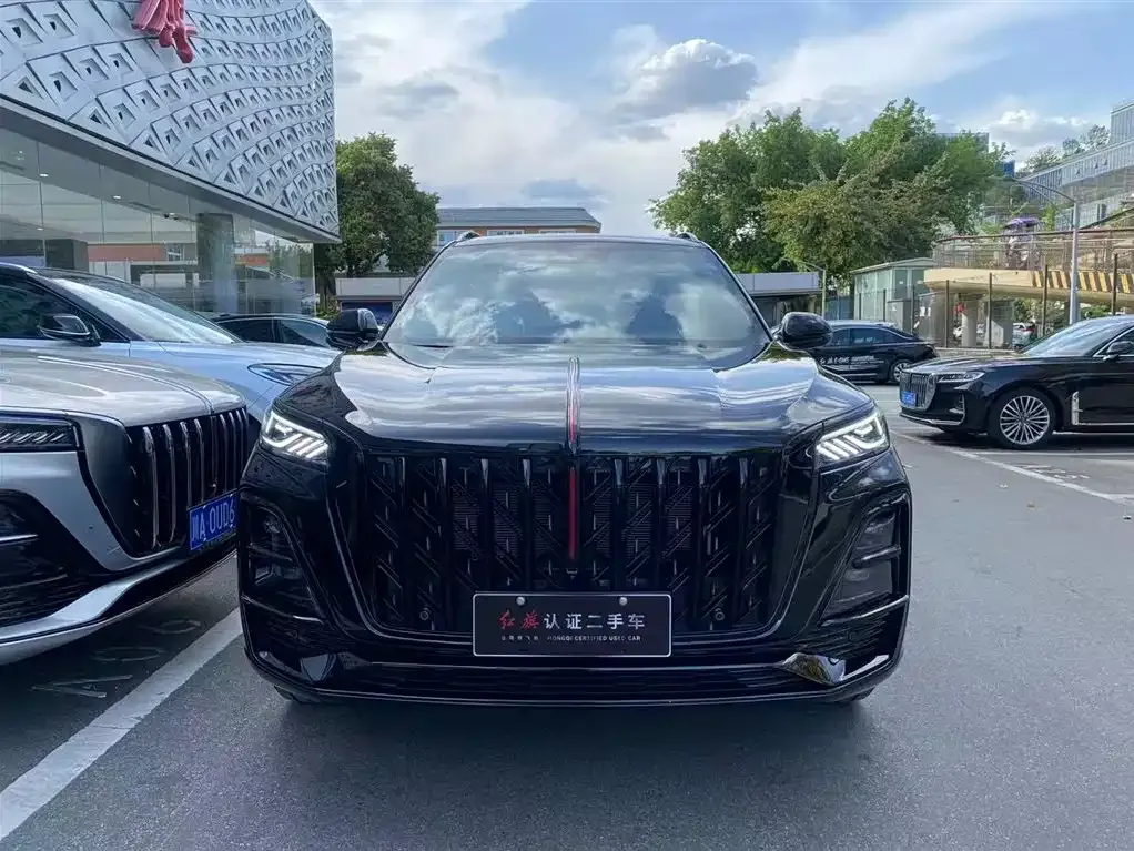Hongqi HS5 2025 из CN, фото 6