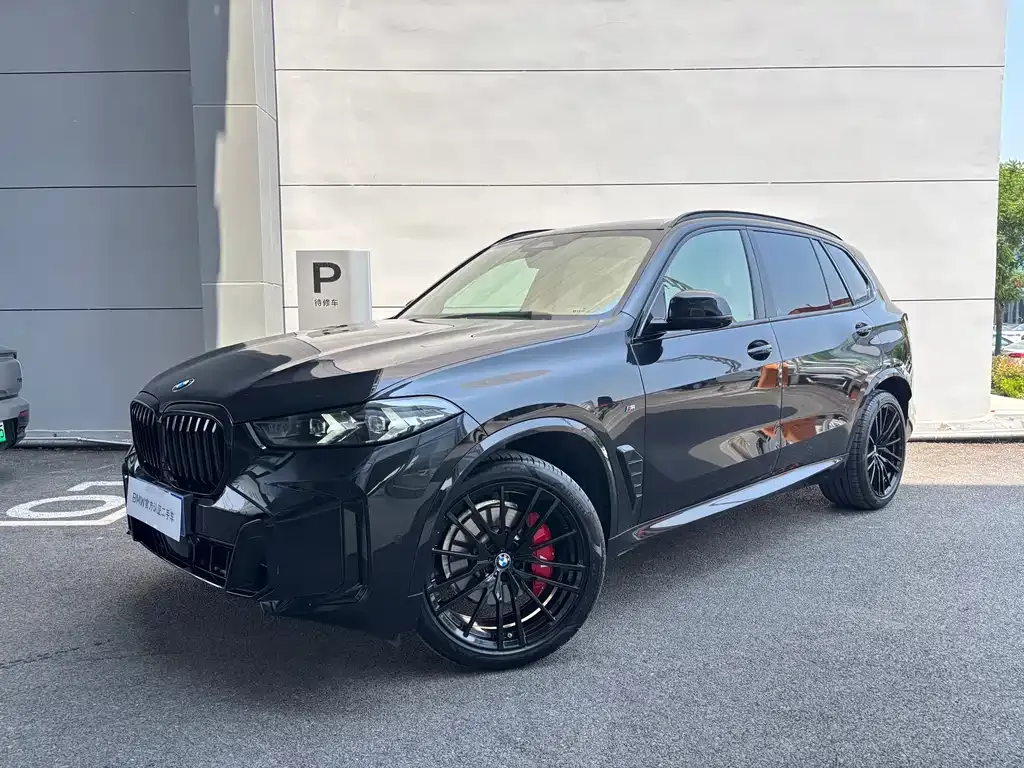 BMW X5 2025 из CN, фото 1