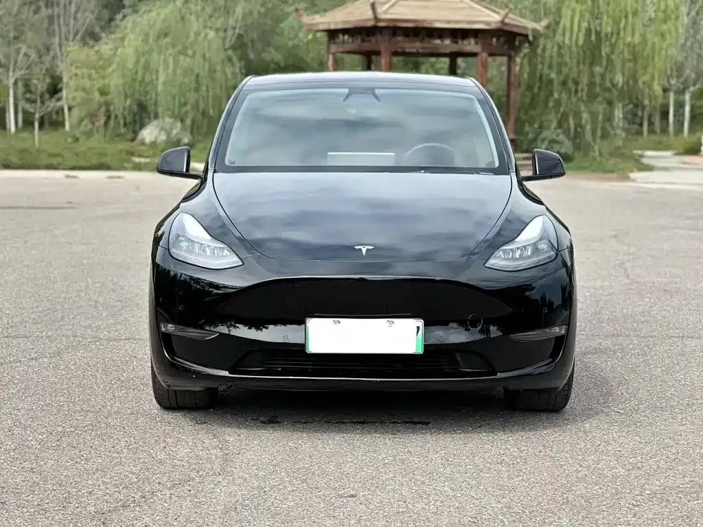 Tesla Model Y — фото 5