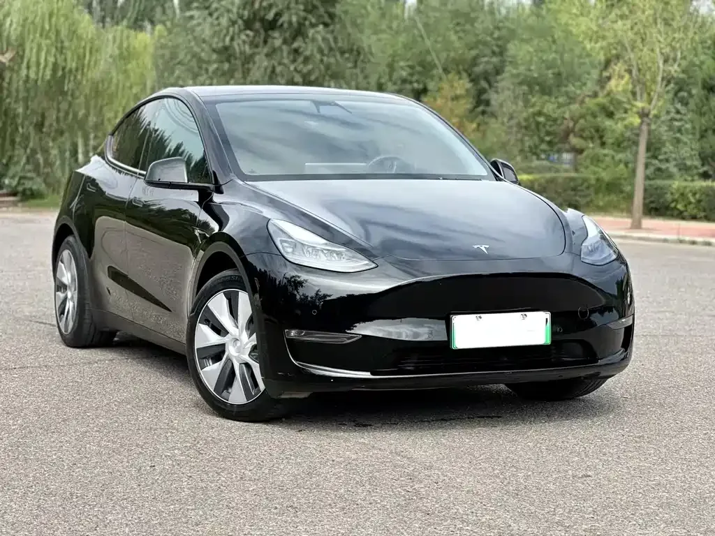 Tesla Model Y — фото 9