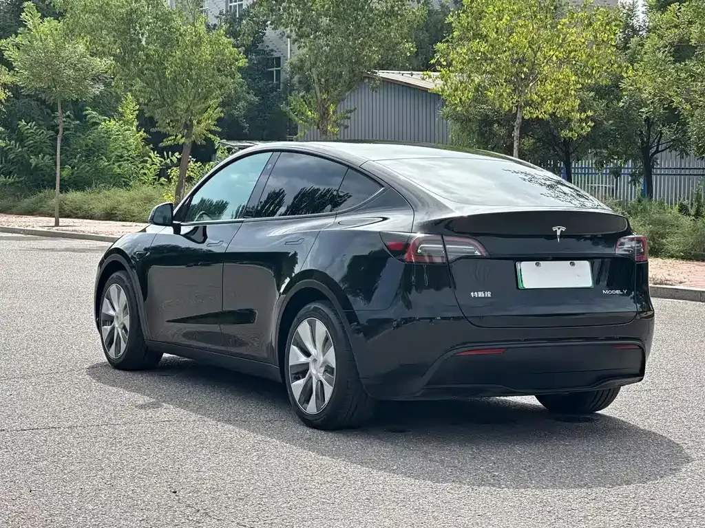 Tesla Model Y — фото 8