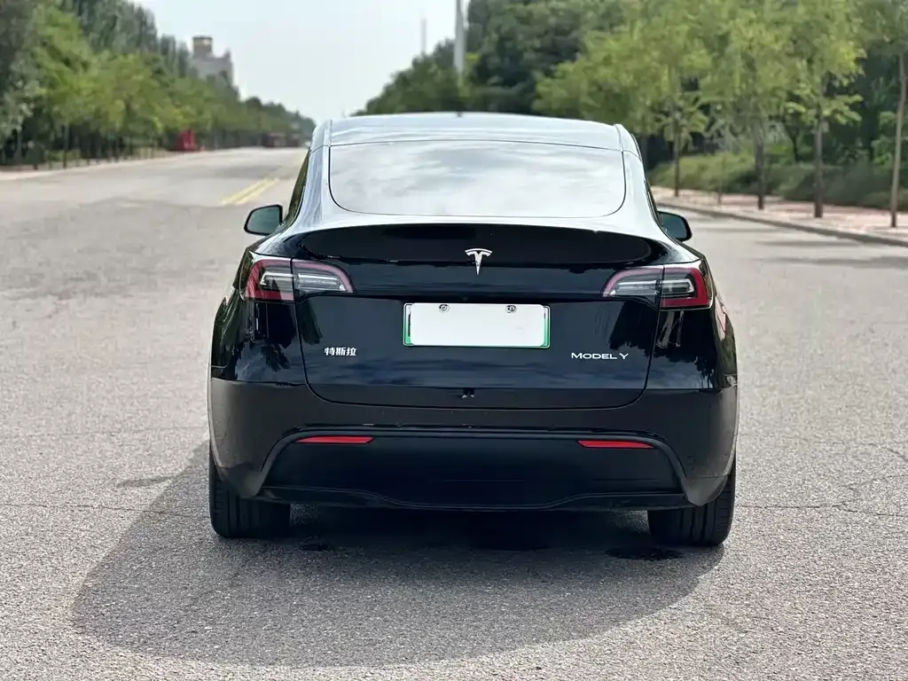Tesla Model Y — фото 4