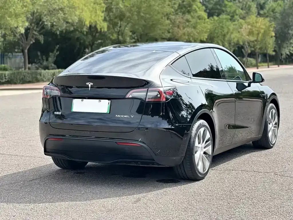 Tesla Model Y — фото 7