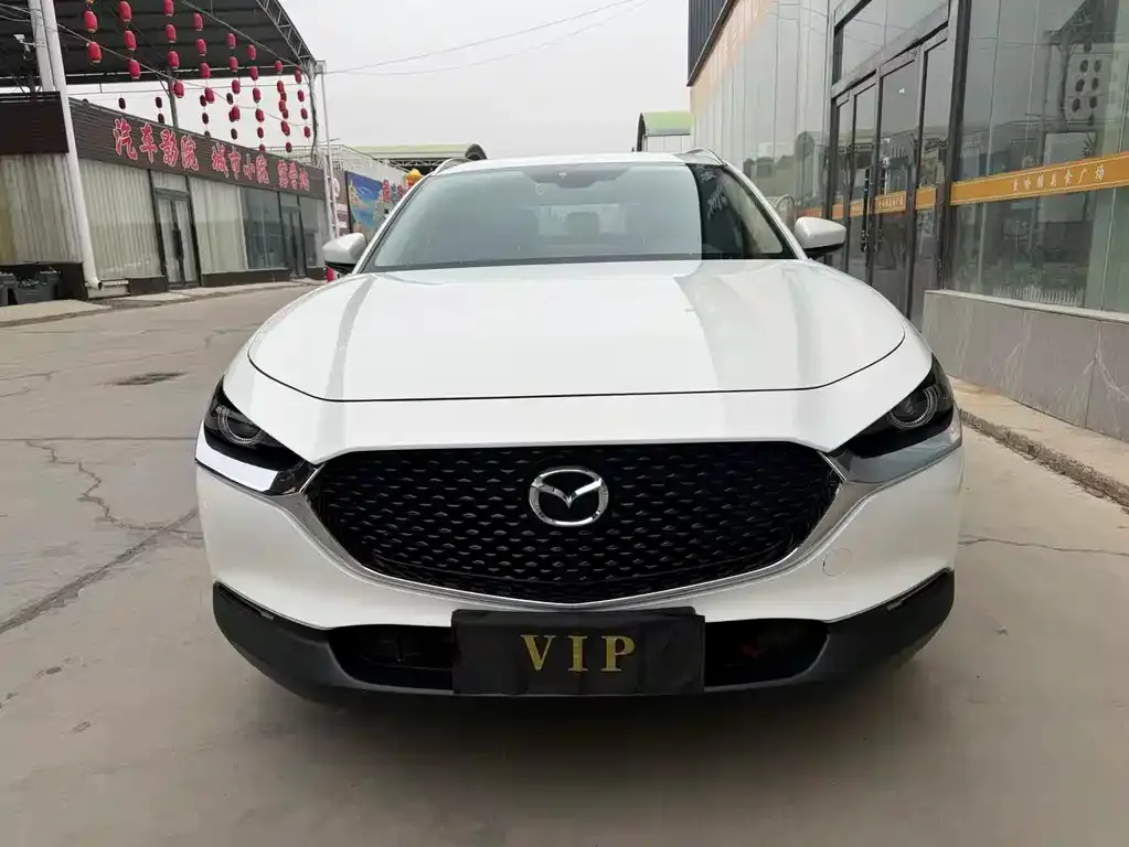 Mazda CX-30 2021 из CN, фото 5