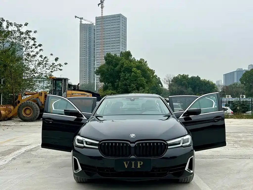 BMW 5 Series 2023 из CN, фото 5