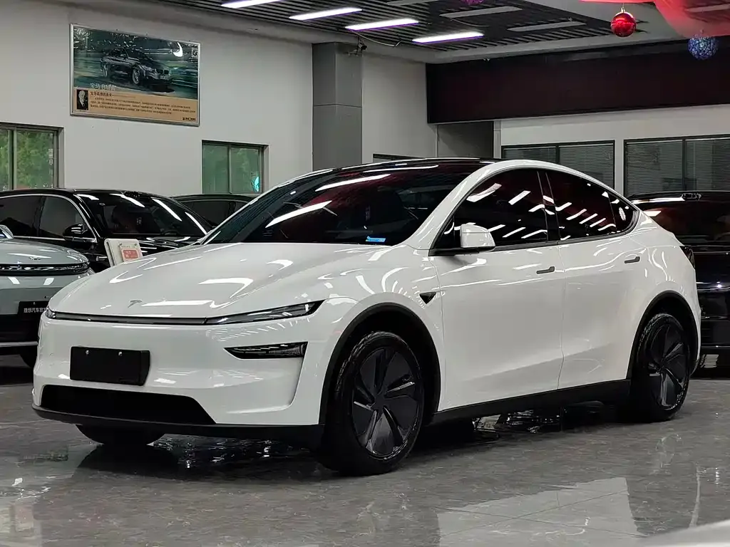 Tesla Model Y 2025 из CN, фото 1