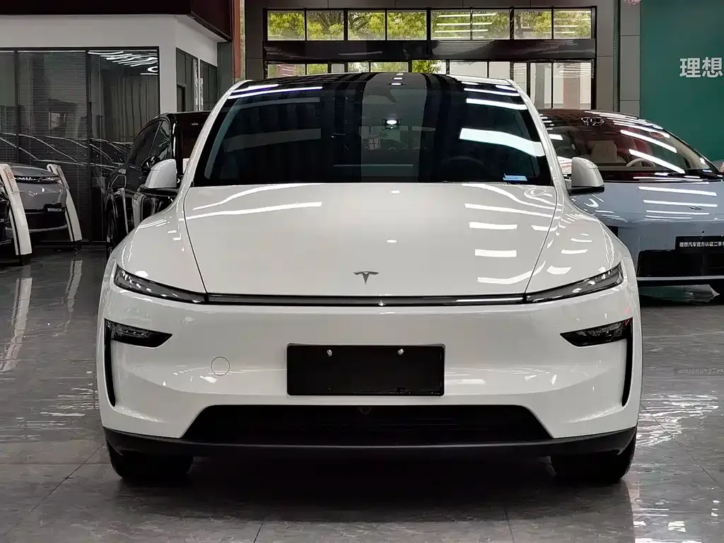 Tesla Model Y 2025 из CN, фото 9