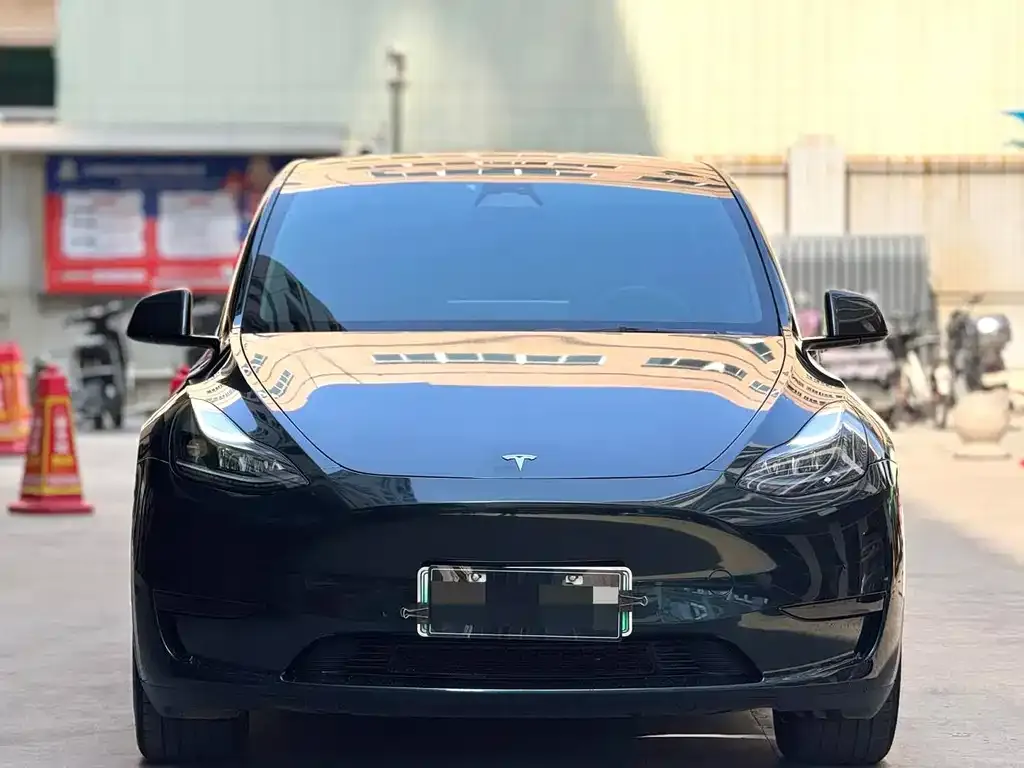 Tesla Model Y — фото 6