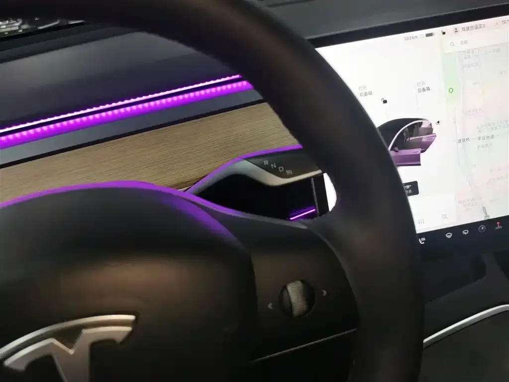 Tesla Model 3 2021 из CN, фото 3