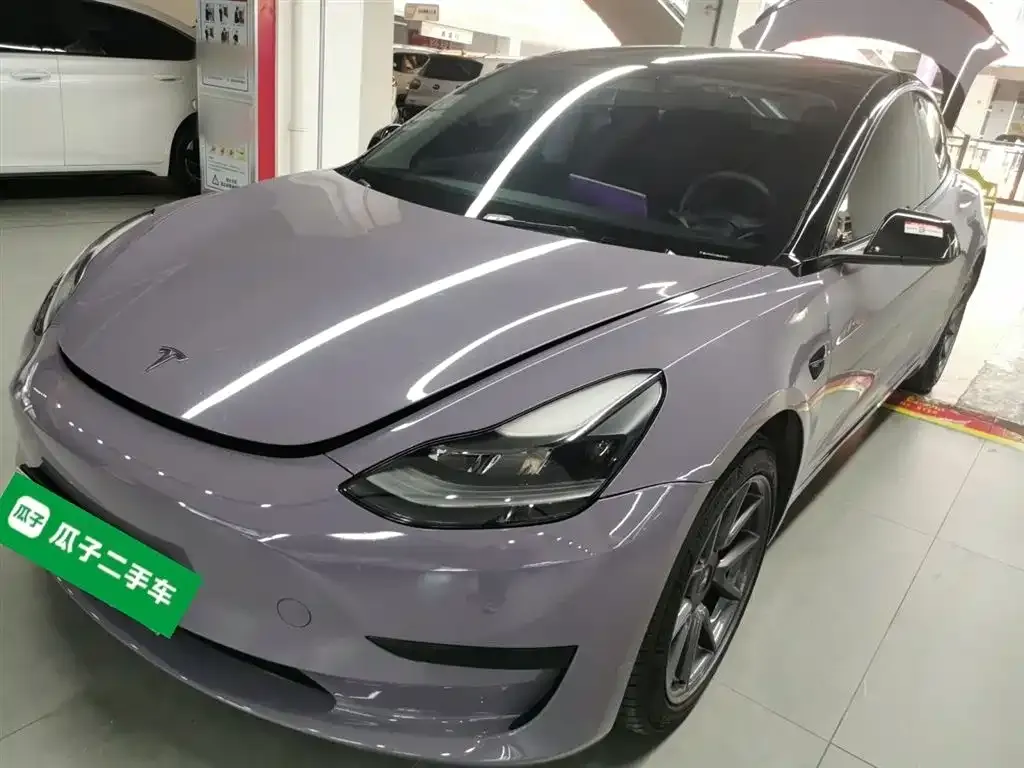 Tesla Model 3 2021 из CN, фото 6