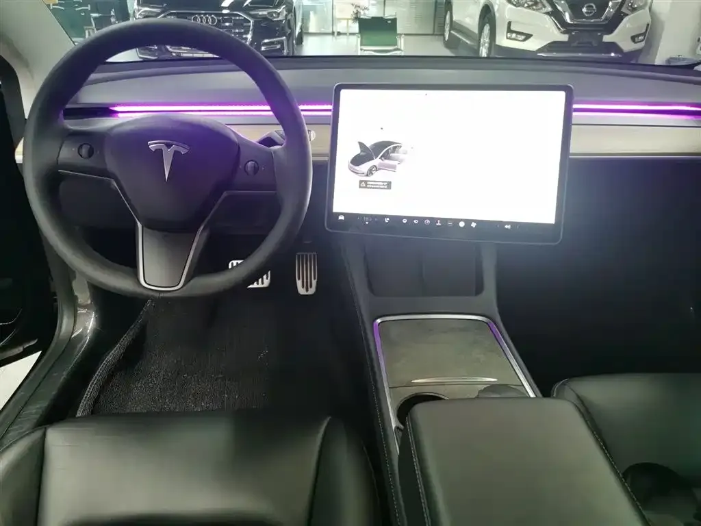 Tesla Model 3 2021 из CN, фото 5
