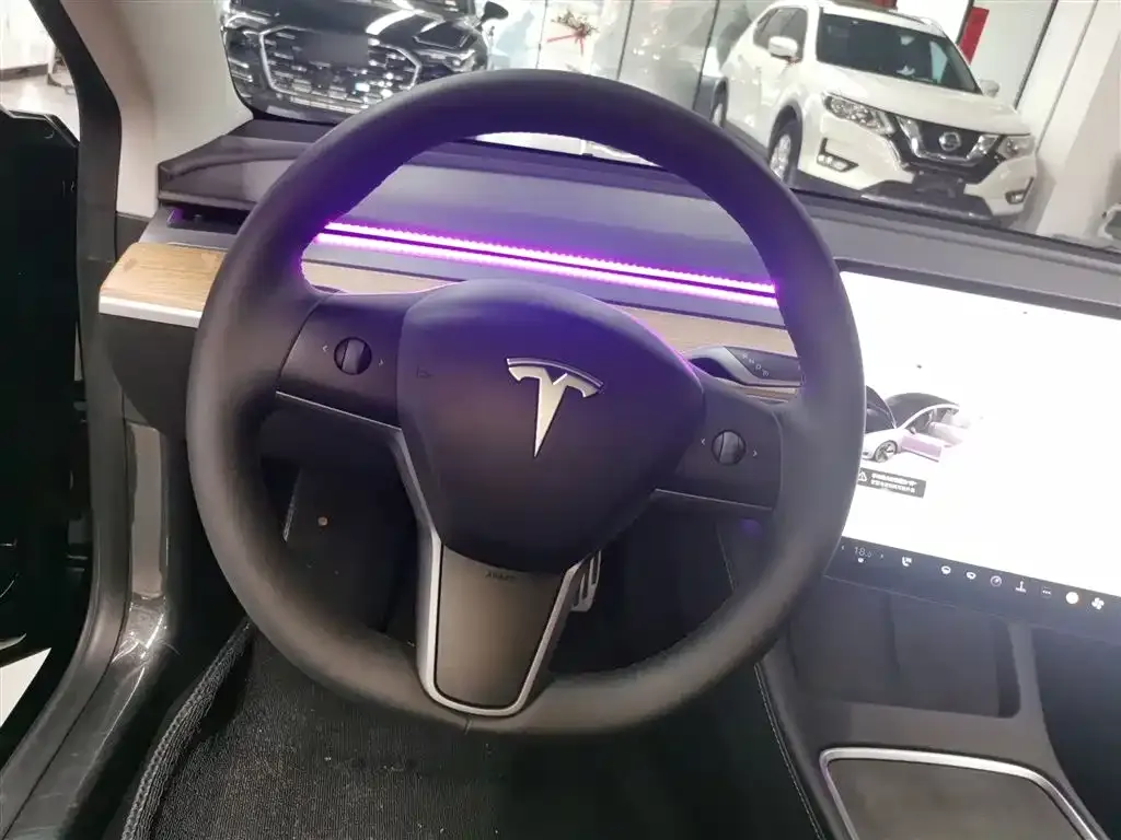 Tesla Model 3 2021 из CN, фото 8