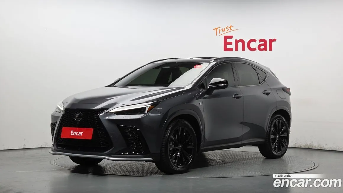 Lexus NX F-Sport 1