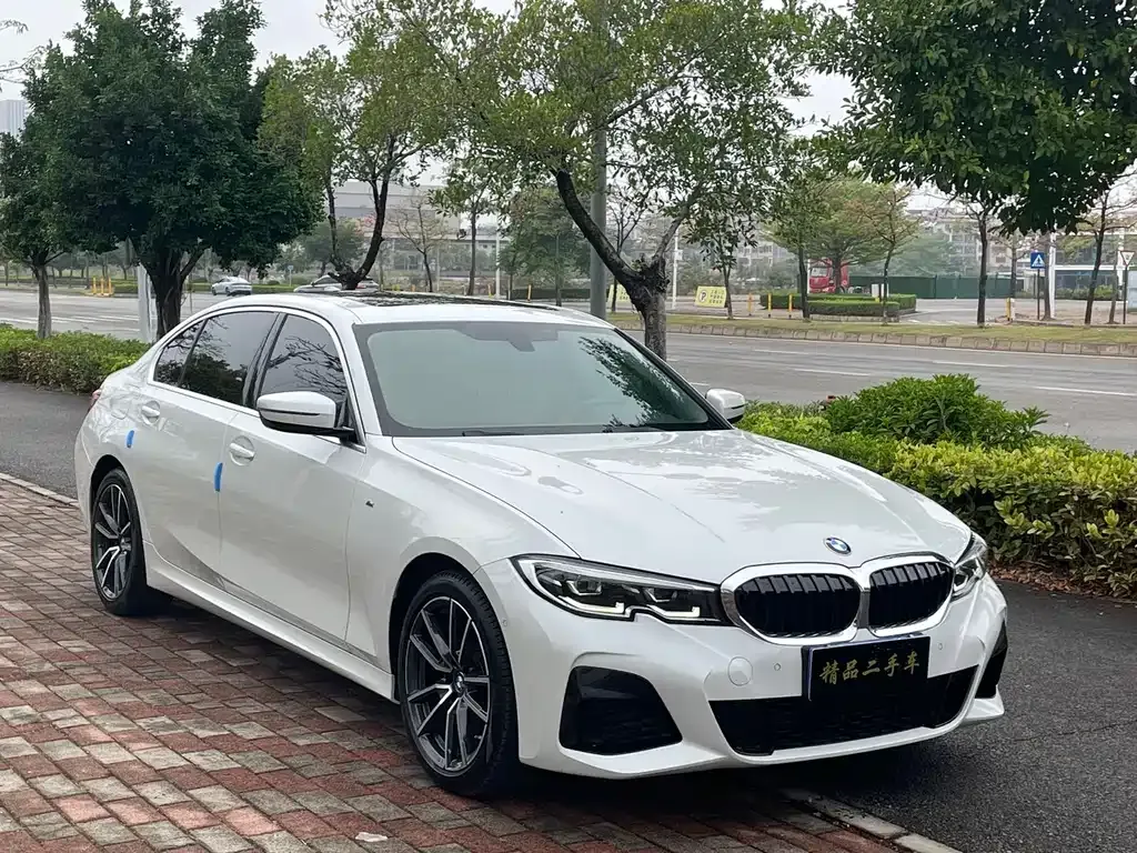 BMW 3 Series 2021 из CN, фото 8