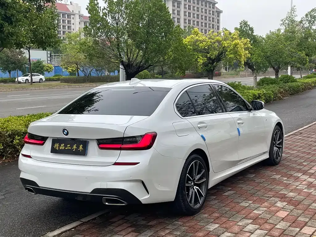BMW 3 Series 2021 из CN, фото 6