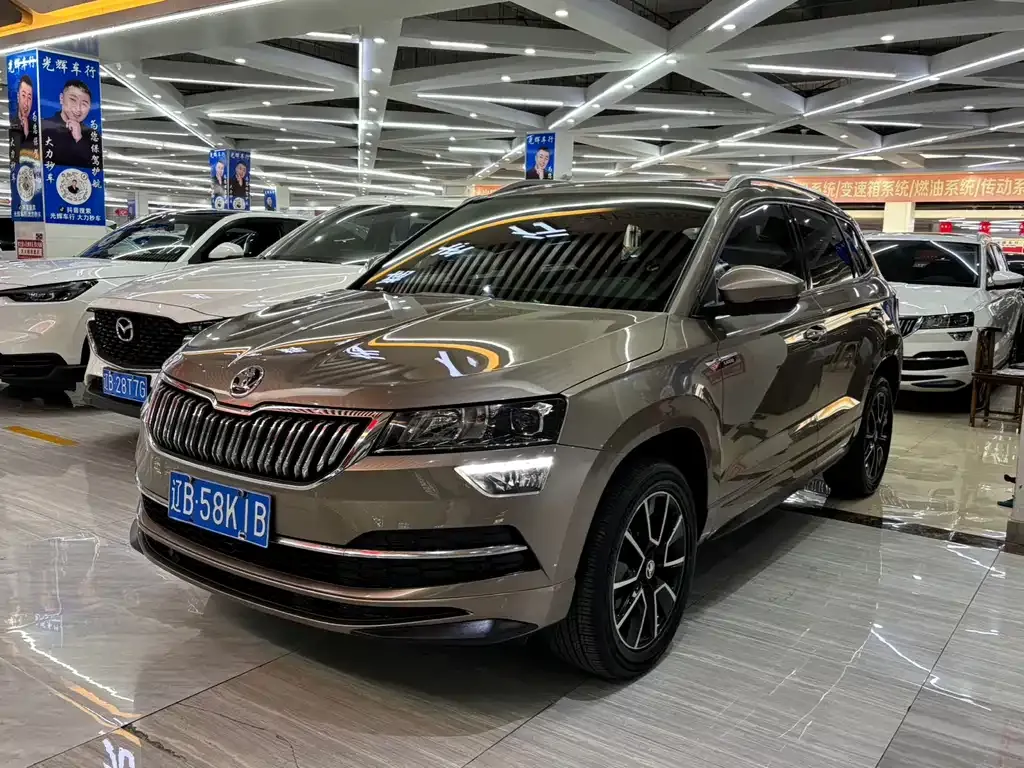 Skoda Karoq 2023 из CN, фото 1