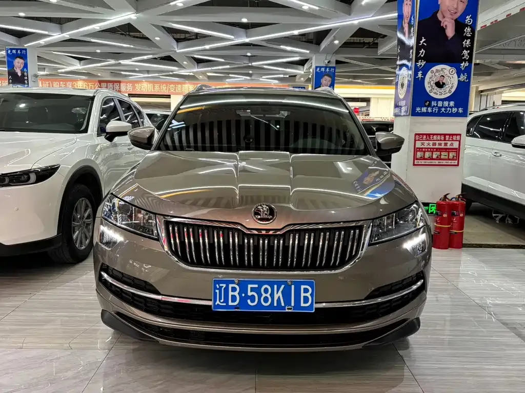 Skoda Karoq 2023 из CN, фото 9
