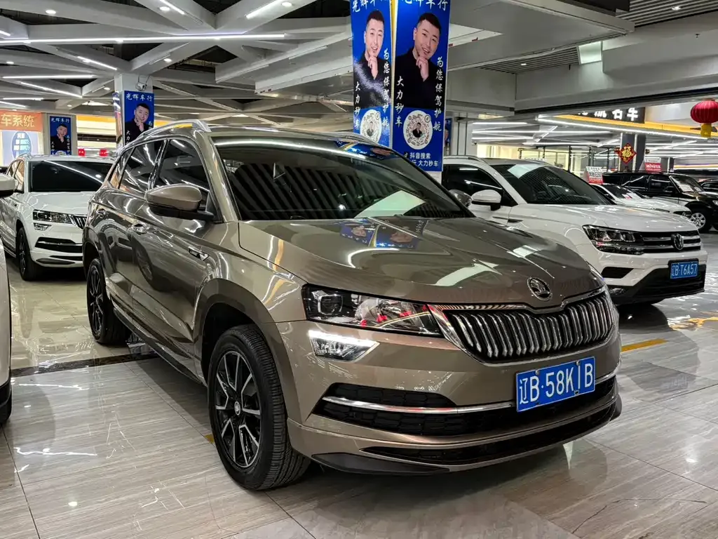 Skoda Karoq 2023 из CN, фото 7