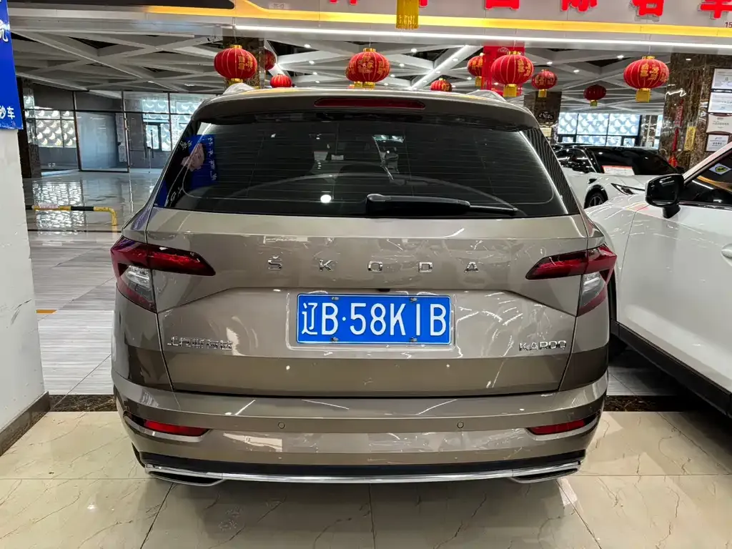 Skoda Karoq 2023 из CN, фото 10