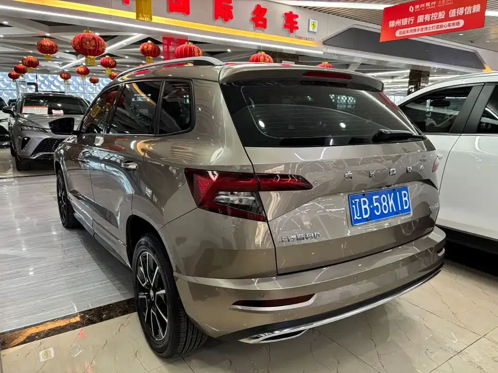 Skoda Karoq 2023 из CN, фото 8