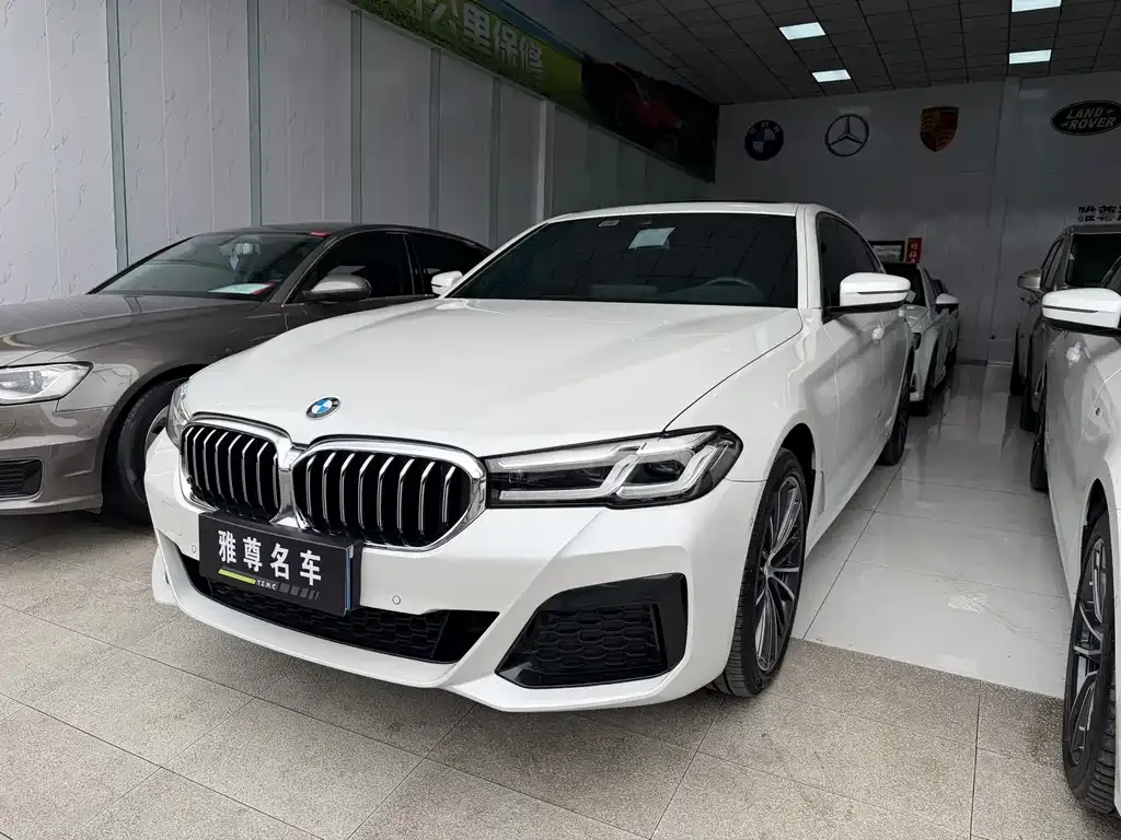 BMW 5 Series 2024 из CN, фото 1