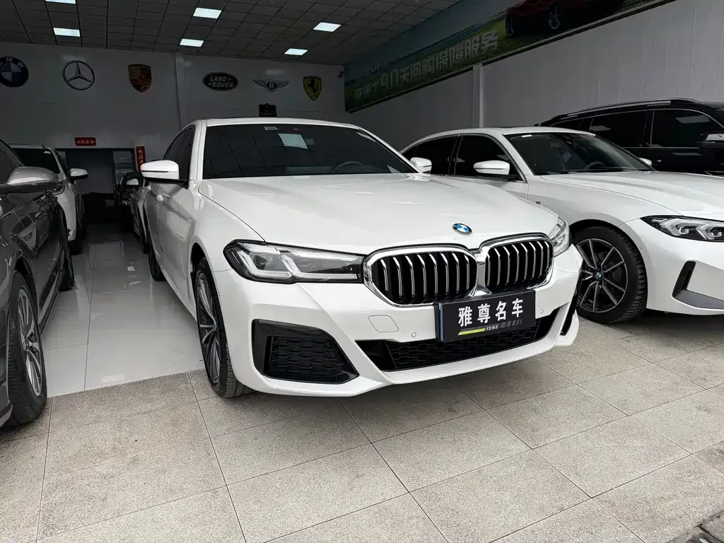 BMW 5 Series 2024 из CN, фото 10