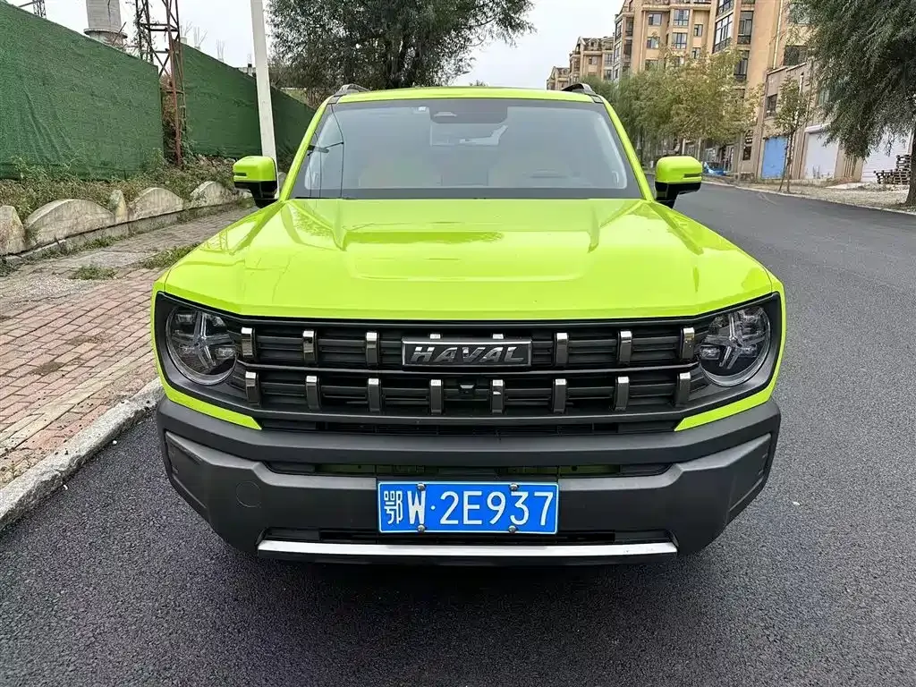 Haval Cool Dog 2022 из CN, фото 9
