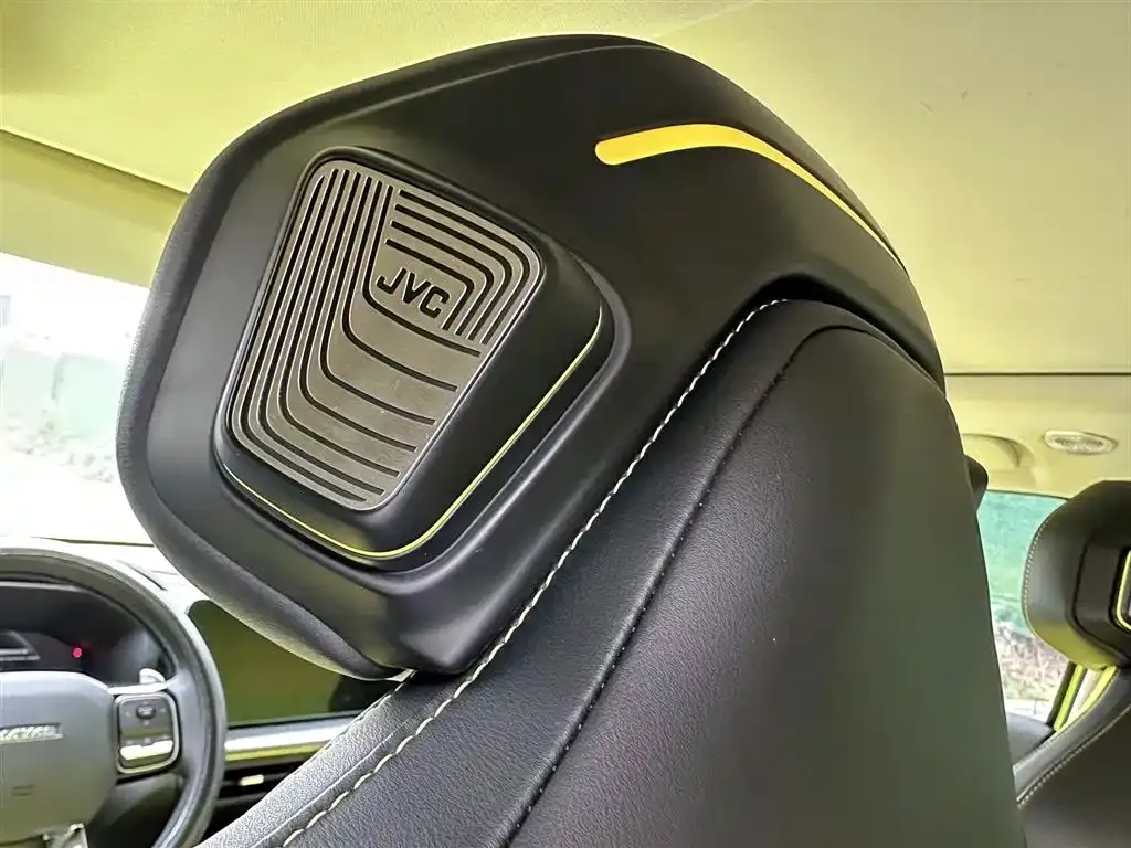 Haval Cool Dog 2022 из CN, фото 7