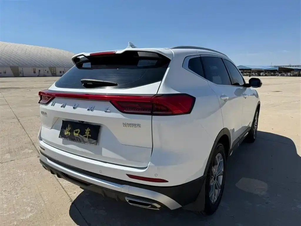 Haval H6 2023 из CN, фото 4