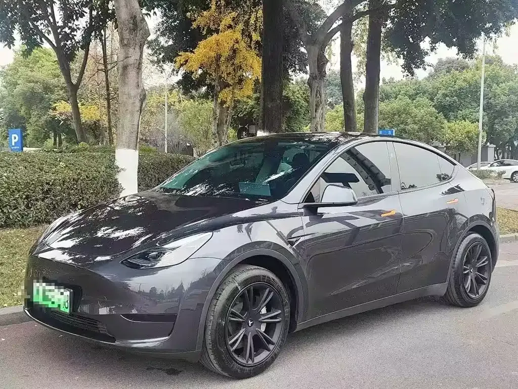 Tesla Model Y — фото 1