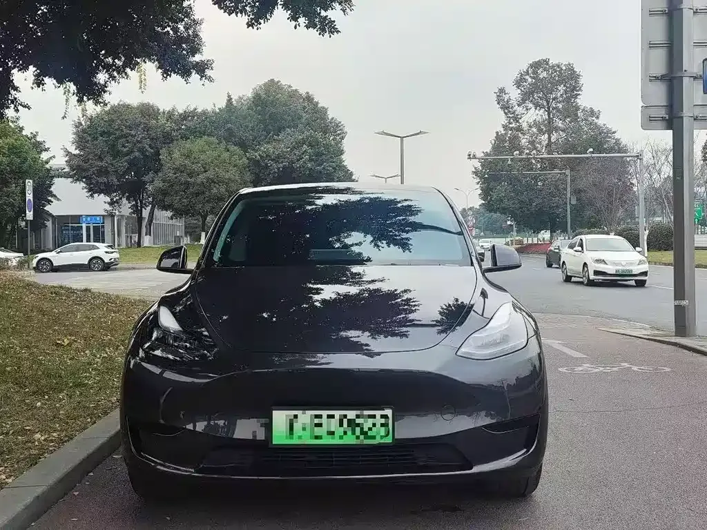 Tesla Model Y — фото 6