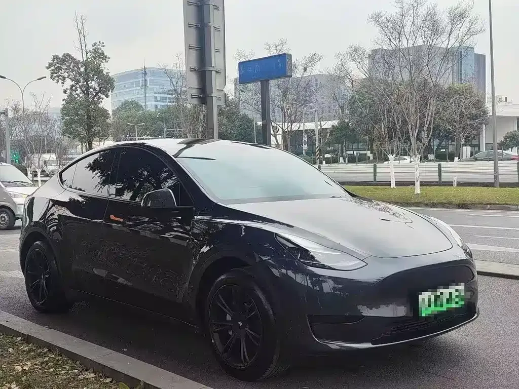 Tesla Model Y — фото 8