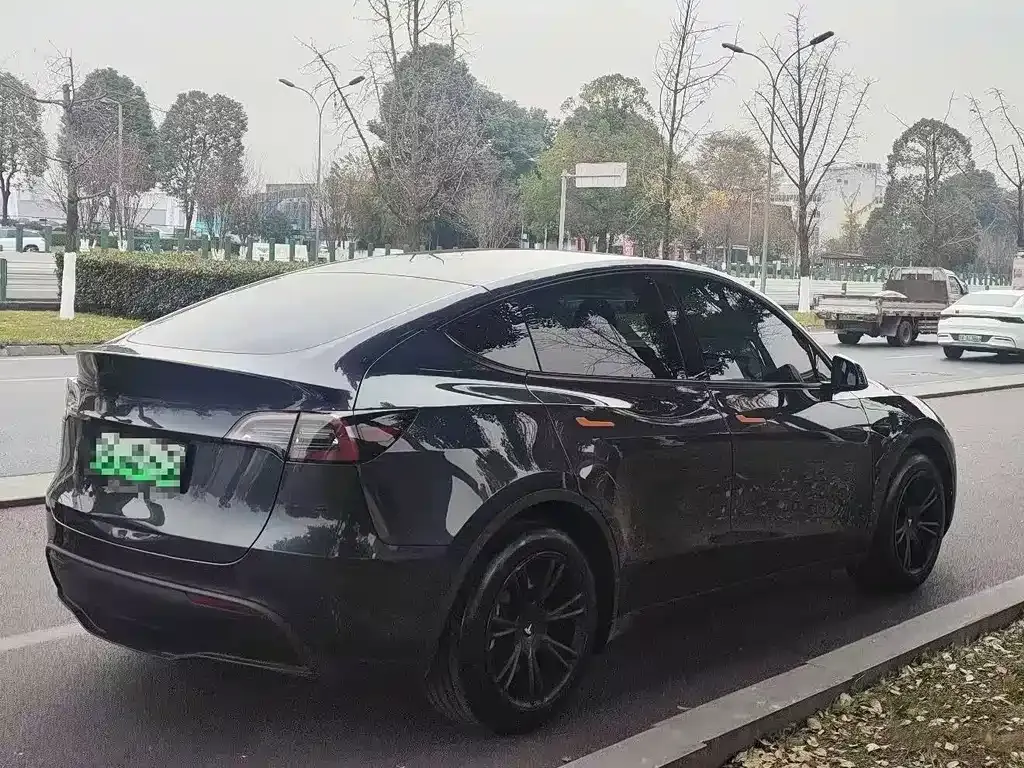 Tesla Model Y — фото 4