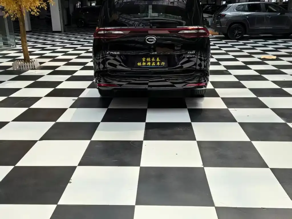 GAC Motor Trumpchi M6 2022 из CN, фото 10