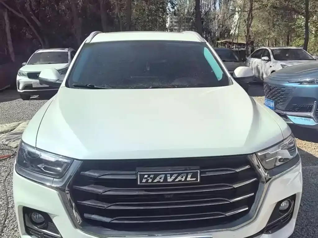 Haval H6 2023 из CN, фото 7