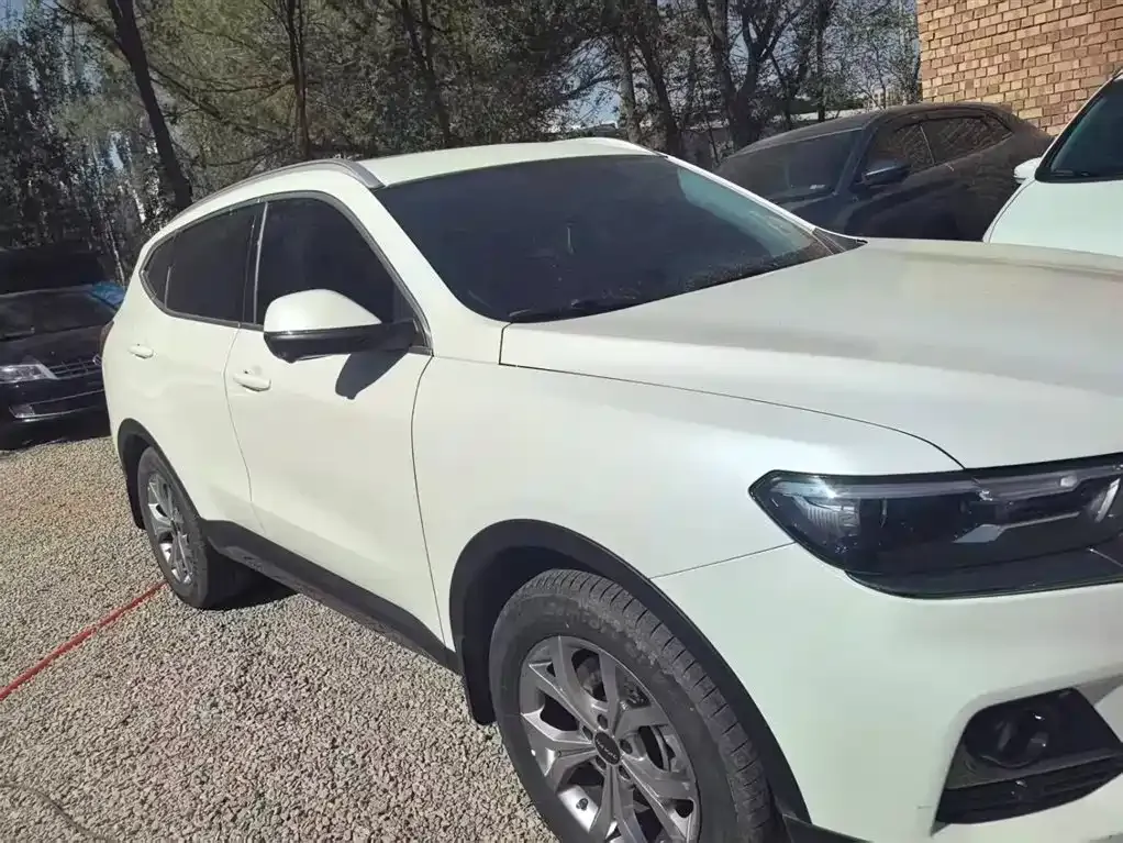 Haval H6 2023 из CN, фото 9