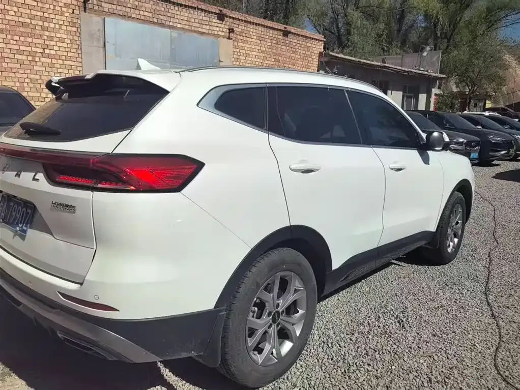 Haval H6 2023 из CN, фото 10