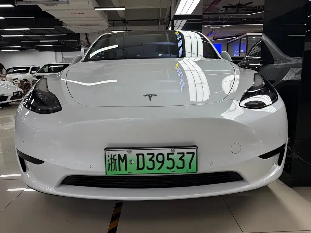 Tesla Model Y 2023 из CN, фото 1