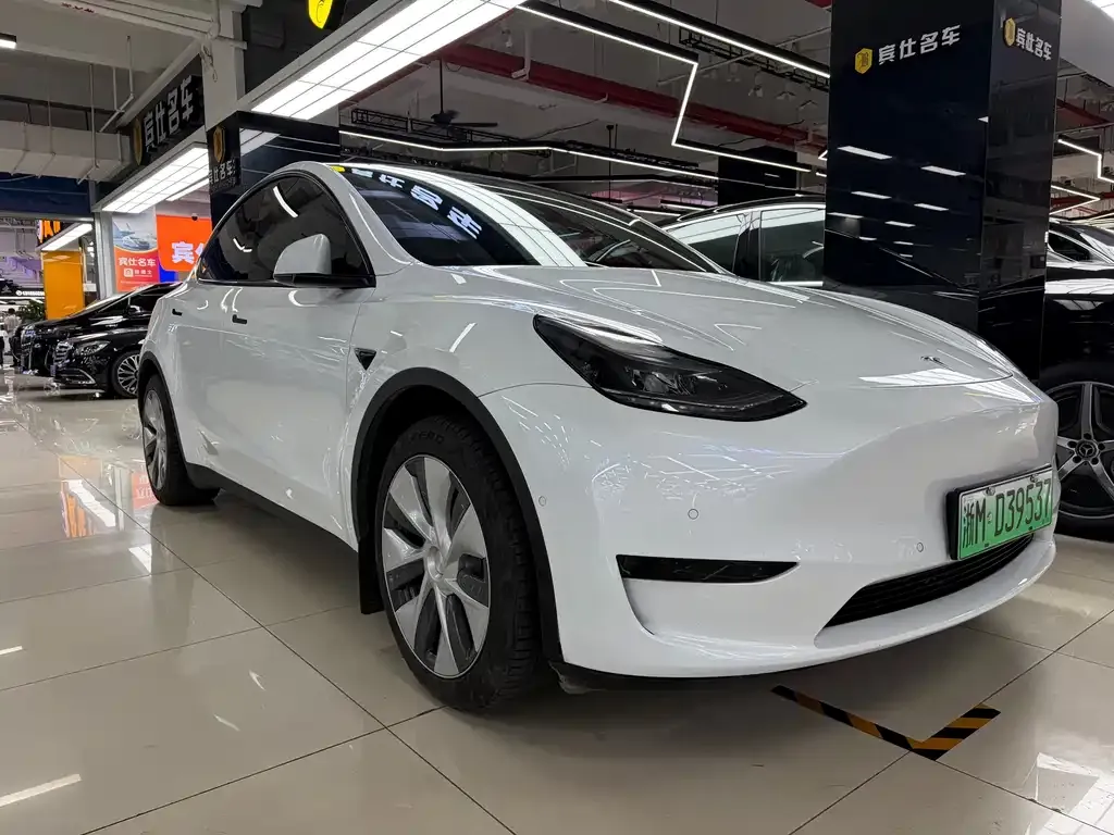 Tesla Model Y 2023 из CN, фото 6