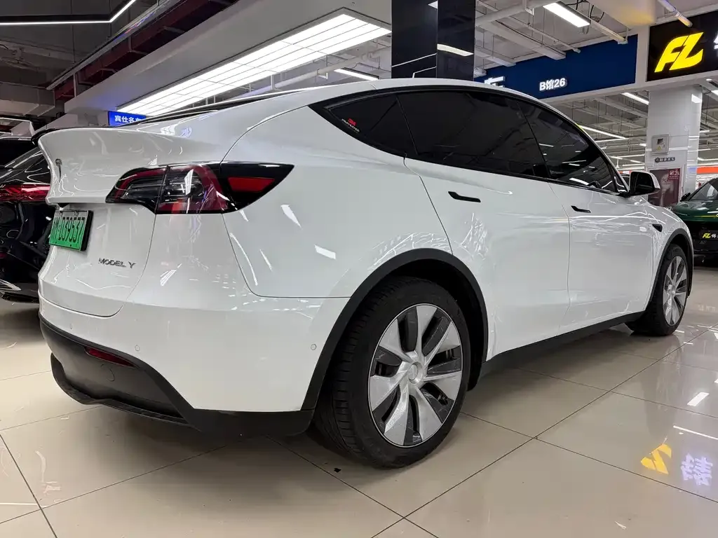 Tesla Model Y 2023 из CN, фото 5