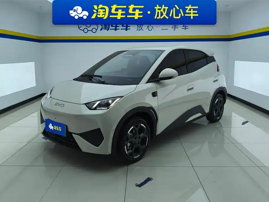 BYD Seagull