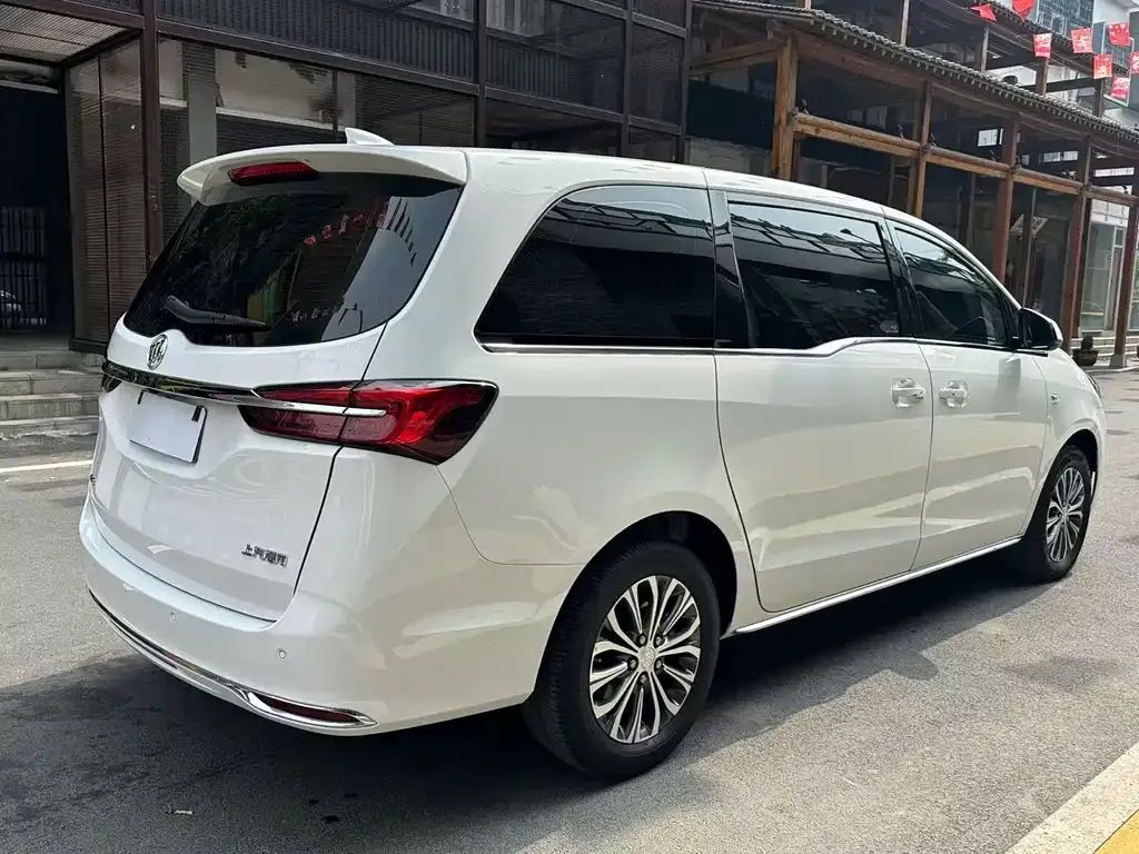 Buick GL8 2024 из CN, фото 8