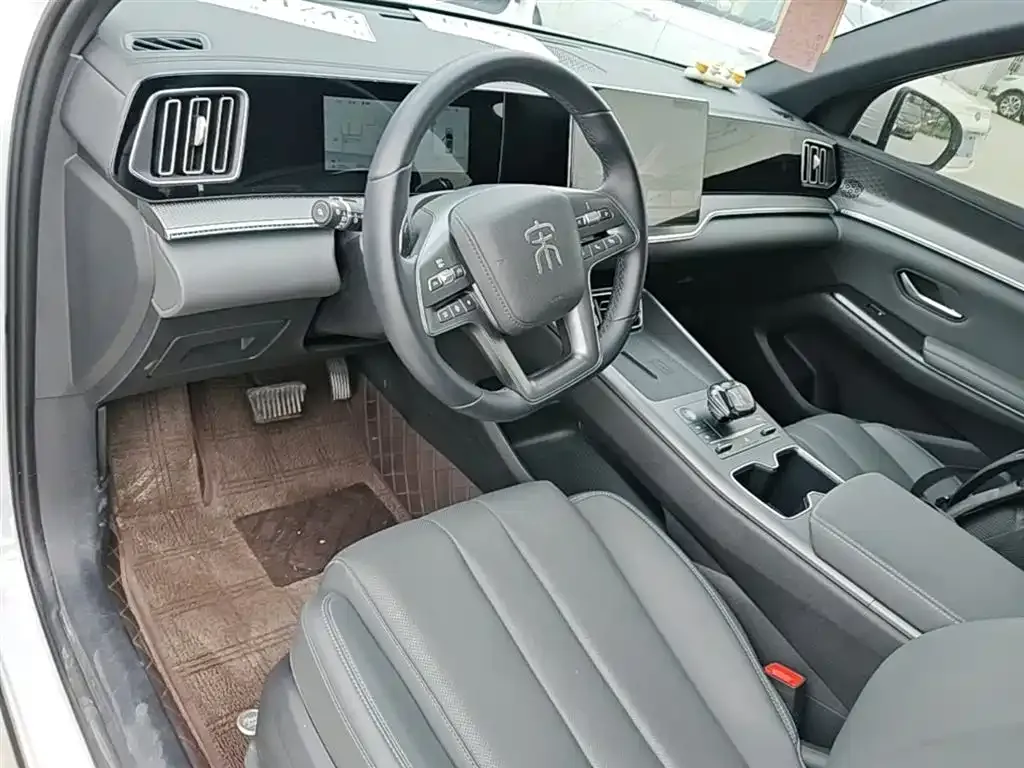 BYD Pro New Energy 2025 из CN, фото 7