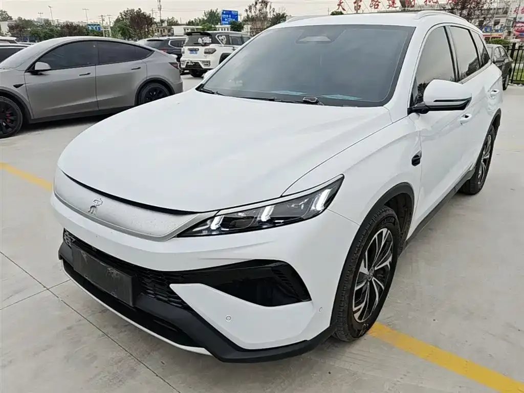 BYD Pro New Energy 2025 из CN, фото 6