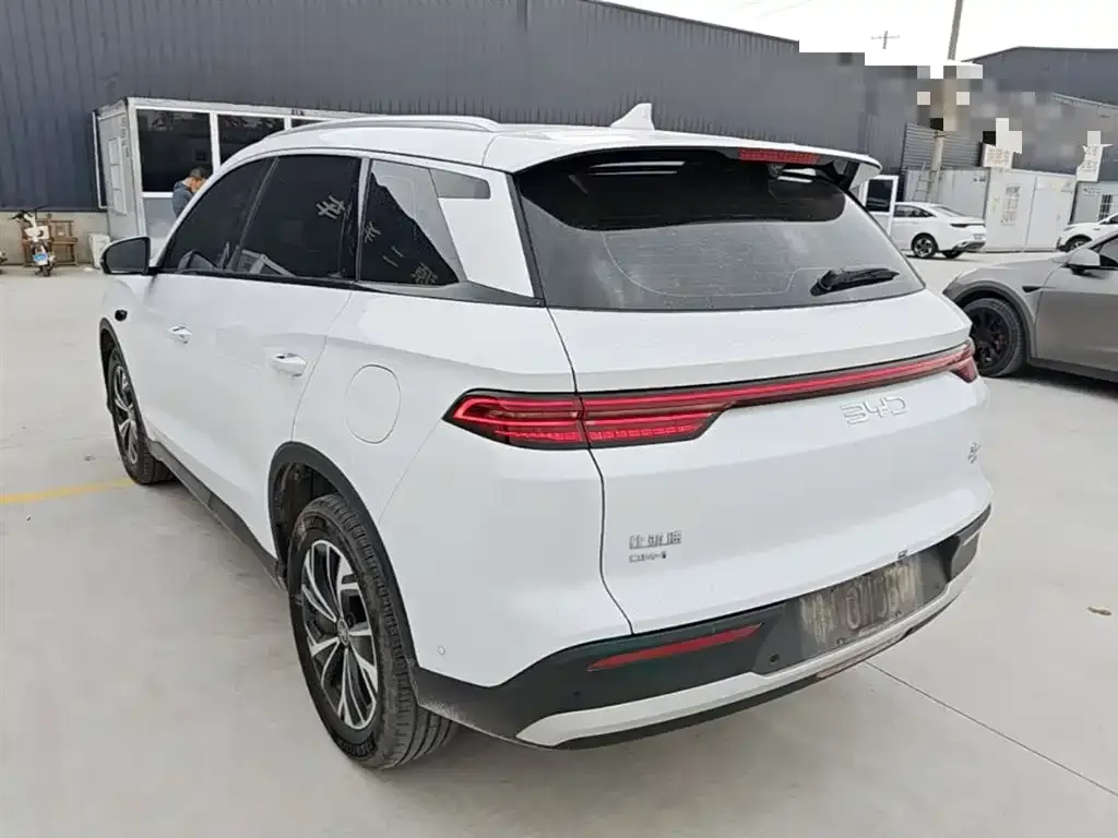 BYD Pro New Energy 2025 из CN, фото 4