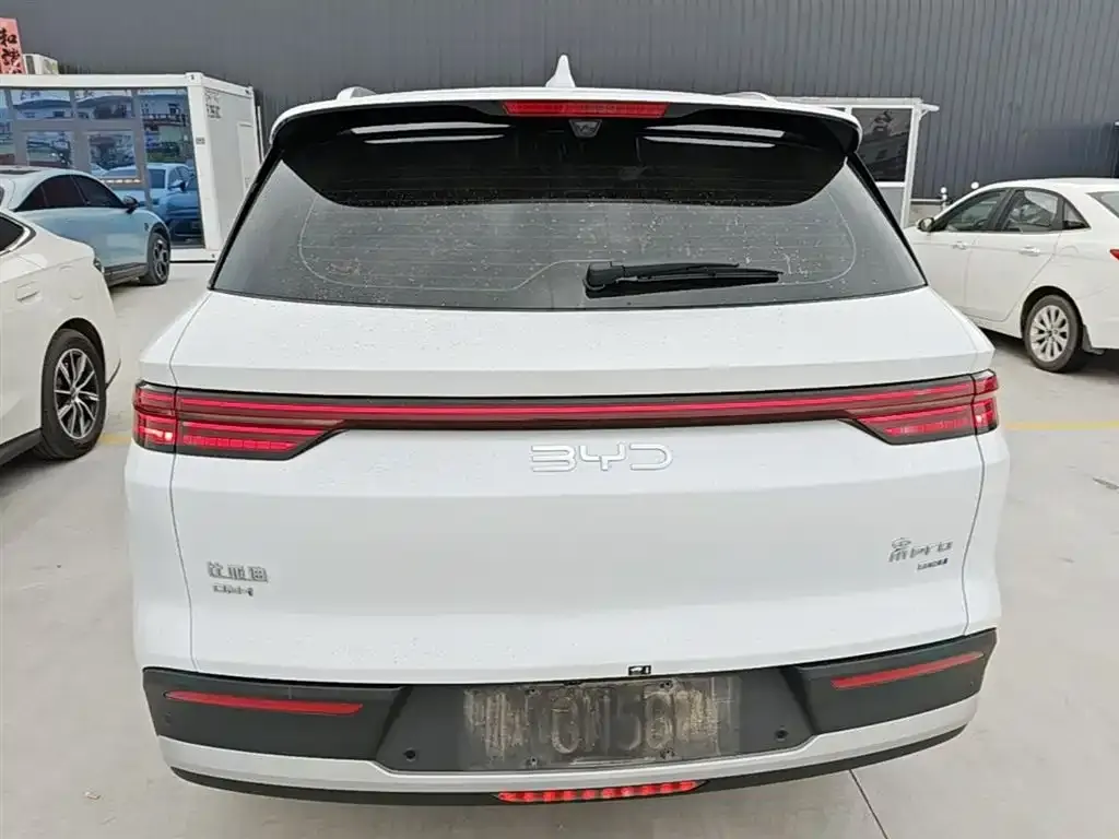 BYD Pro New Energy 2025 из CN, фото 8