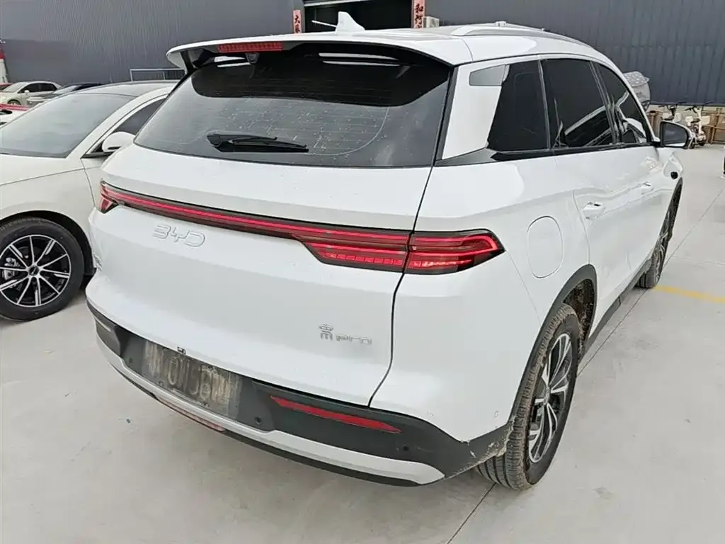 BYD Pro New Energy 2025 из CN, фото 5