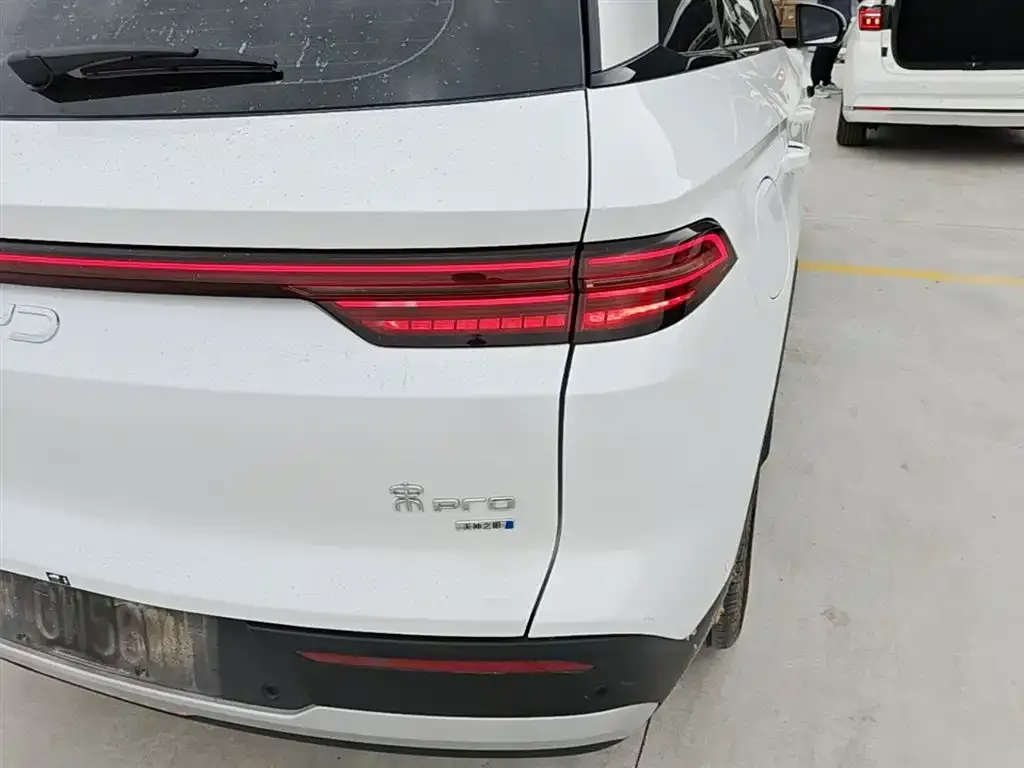 BYD Pro New Energy 2025 из CN, фото 2